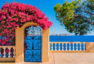 Una puerta vibrante enmarcada por flores y un árbol, con vistas a la serena costa mediterránea | MSC Cruceros