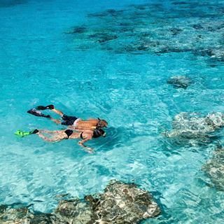 A couple enjoys snorkelling in the clear waters of Ocean Cay, surrounded by vibrant marine life | MSC Cruises