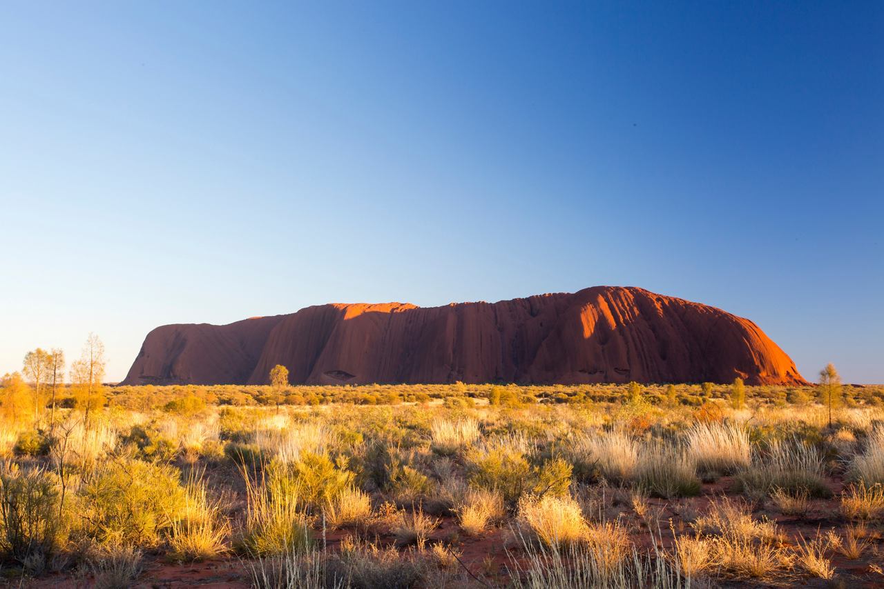A stunning view of Uluru at sunrise, highlighting its majestic presence in the Australian Outback | MSC Cruises