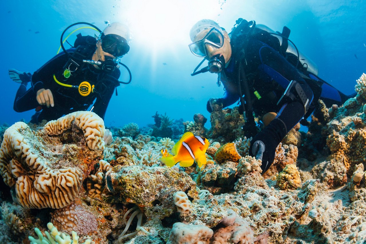 Two divers exploring vibrant coral and marine life in the Ocean Cay MSC Marine Reserve | MSC Cruises