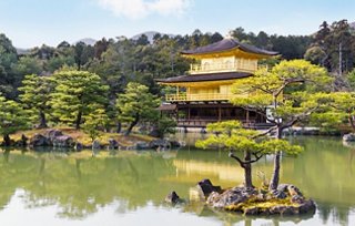 The serene Kinkakuji Temple, a stunning golden pavilion surrounded by lush greenery and a tranquil pond | MSC Cruises