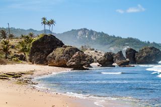A serene view of Bathsheba Beach in Barbados, highlighting the sea, rocks, and palm trees under a clear sky | MSC Cruises