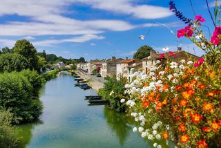 River Sèvre Niortaise, France | MSC Cruises