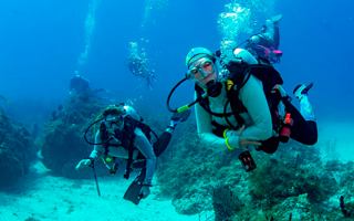 Divers exploring the vibrant underwater world while contributing to marine conservation efforts | MSC Cruises