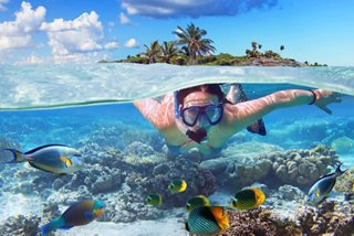 Un subacqueo esplora vivaci barriere coralline e pesci tropicali nelle acque cristalline dei Caraibi | MSC Crociere