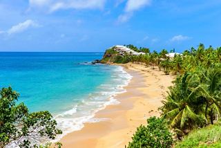 Une vue sereine d'une plage de sable à Morris Bay, Antigua, bordée par une mer bleue claire et une végétation luxuriante | MSC Croisières