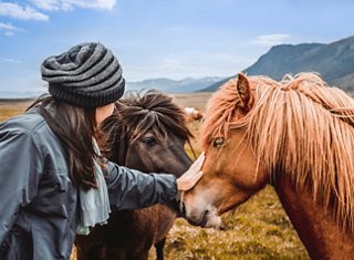 A woman interacts gently with a horse and a cow in the picturesque Icelandic countryside | MSC Cruises