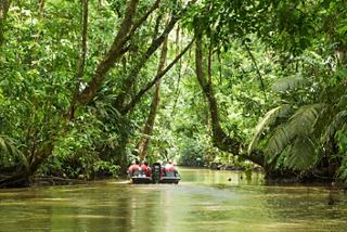 Un voyage en bateau paisible à travers la verdure luxuriante du parc national Tortuguero au Costa Rica | MSC Cruises