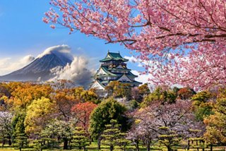 A scenic view of cherry blossoms with Mount Fuji in the background, showcasing Japan's beauty and rich culture | MSC Cruises