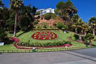 A vibrant flower clock surrounded by lush greenery in Valparaiso, Chile, inviting exploration and discovery | MSC Cruises