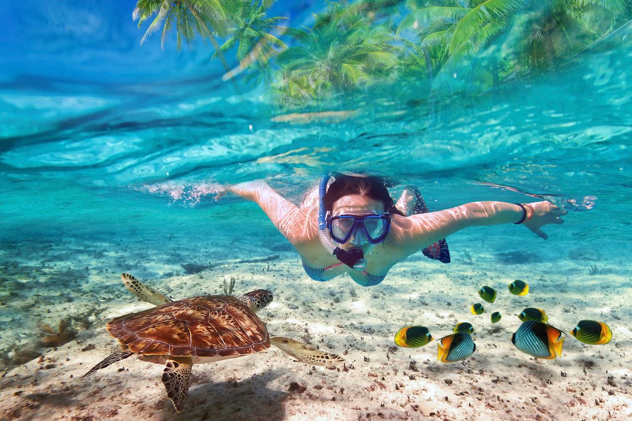 A snorkeller explores the vibrant underwater world in the warm Caribbean waters of Fort de France, Martinique | MSC Cruises