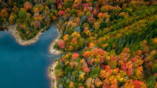 Vibrant autumn foliage surrounds a tranquil lake, showcasing the natural beauty of Halifax, Canada | MSC Cruises