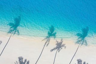 Luftaufnahme von Palmen, die Schatten auf einen schönen karibischen Strand mit türkisfarbenem Wasser werfen | MSC Cruises