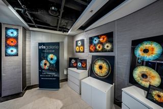 Una galería de arte moderno con obras vibrantes expuestas en las paredes y estanterías iluminadas | MSC Cruceros