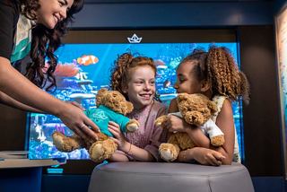 Children engage in a fun activity with staff while holding teddy bears in front of a vibrant screen | MSC Cruises