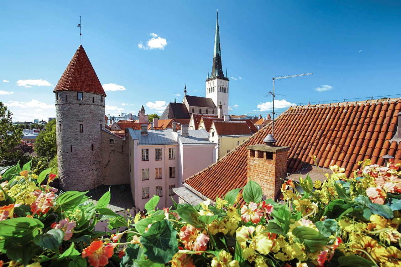 Una vibrante vista de verano de la torre histórica y la iglesia de Tallin, enmarcada por flores coloridas | MSC Cruceros