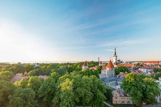 Une vue panoramique de Tallinn montrant une verdure luxuriante, des toits historiques et la tour de l'église Saint-Olaf au loin | MSC Croisières