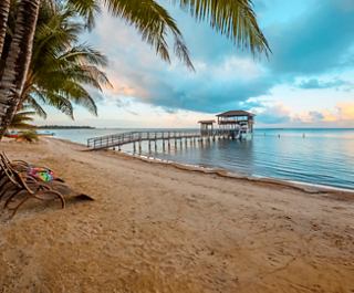 Eine ruhige Strandlandschaft auf Isla de Roatan mit Palmen und einem stillen Meer bei Sonnenaufgang | MSC Cruises