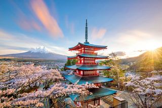 Die Chureito-Pagode steht majestätisch vor dem Hintergrund des Mount Fuji und blühender Kirschbäume in einer Panoramaaussicht | MSC Cruises