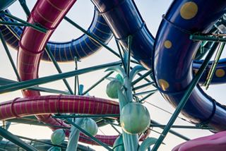 Water slides in the MSC World Europa aquapark, providing fun for all ages | MSC Cruises