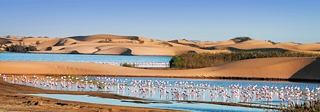 Una vista escénica de Walvis Bay, Namibia, que muestra las aguas serenas y el paisaje circundante | MSC Cruceros