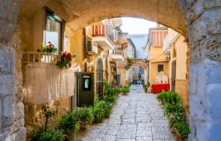 A charming alley framed by an arch, lined with colourful houses and plants, inviting exploration in Bari, Italy | MSC Cruises