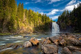 Una vista impresionante de la cascada Storfossen que fluye a través de frondosos bosques en Geirangerfjord, Noruega | MSC Cruceros