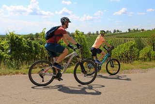 Zwei Radfahrer genießen eine malerische Fahrt entlang eines Weges, umgeben von üppigem Grün in Slowenien | MSC Cruises