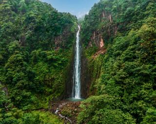 A stunning waterfall cascades down lush greenery at Carbet Falls in Guadeloupe, inviting exploration and adventure | MSC Cruises
