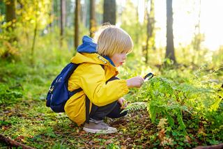 A young boy in a yellow jacket explores nature with a magnifying glass in a forest setting | MSC Cruises