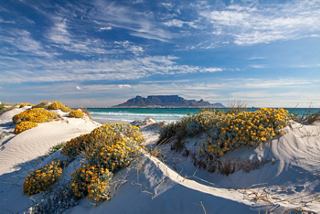 Beautiful coastal view of Cape Town with sandy dunes, blooming flowers, and Table Mountain in the background | MSC Cruises