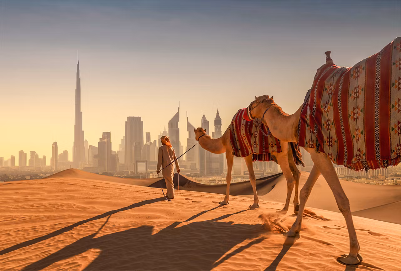A camel and a man traverse the desert with Dubai's skyline in the background during sunset | MSC Cruises