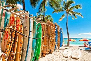 Des planches de surf colorées sont alignées sur un rack en bord de plage, encadrées par des palmiers et la mer sereine à Honolulu, Hawaï | MSC Croisières