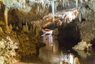 Wasserfall in einer Höhle, gebildet aus Kalksteinsedimenten in der Harrison's Cave | MSC Cruises