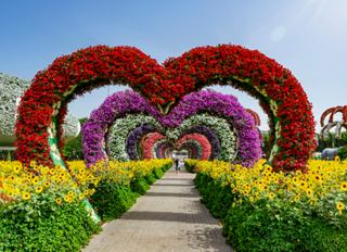 A vibrant pathway lined with colourful flowers leads through heart-shaped flower arches in Dubai's Miracle Garden | MSC Cruises