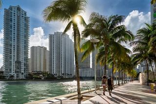 A scenic view of Miami's waterfront with palm trees, skyscrapers, and a couple enjoying the riverside | MSC Cruises