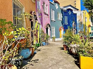 A vibrant street scene in the Liberdade district of São Paulo, showcasing colourful buildings and lush plants | MSC Cruises