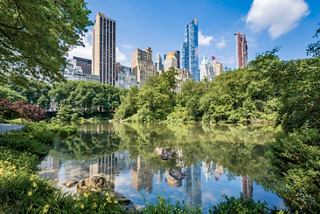 Une vue paisible de l'eau de Central Park reflétant la skyline de New York, entourée de verdure luxuriante | MSC Croisières