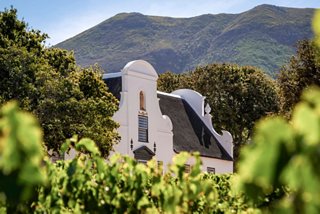 Vineyard with a historic building set against mountains in Groot Constantia, Cape Town, South Africa | MSC Cruises