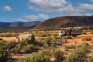 A safari truck drives through the scenic Aquila Private Game Reserve in South Africa, surrounded by stunning wildlife | MSC Cruises