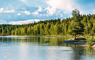 Sognsvann lake, Oslo, Norvegia | MSC Cruises