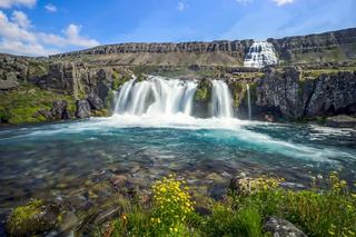 A stunning view of Dynjandi waterfall cascading into a clear blue body of water, surrounded by lush greenery and flowers | MSC Cruises