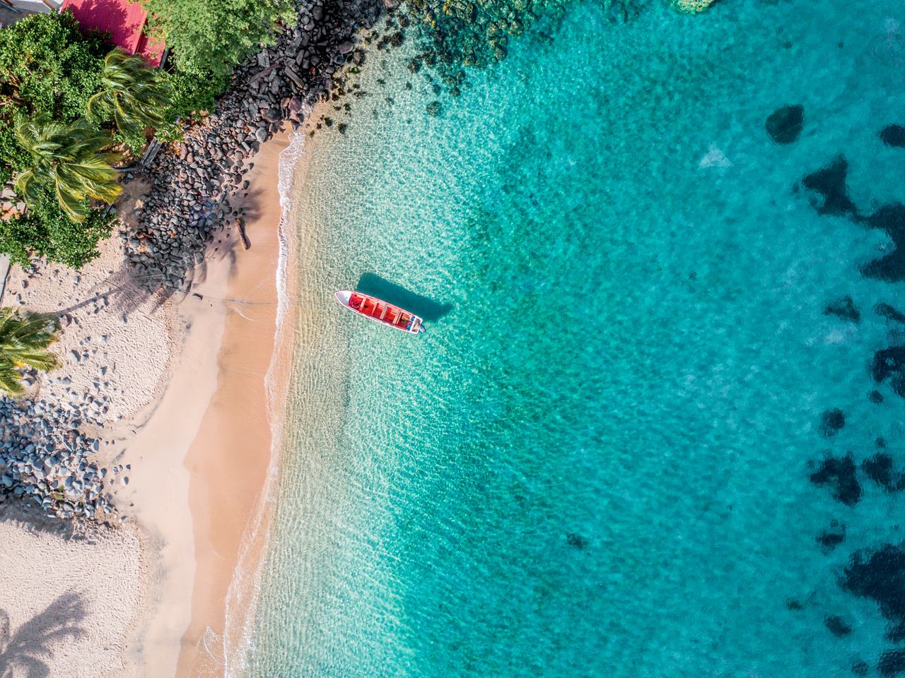 Luftaufnahme eines ruhigen Strandes in Martinique mit türkisfarbenem Wasser und üppigem Grün in der Umgebung | MSC Cruises