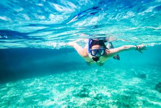 A woman enjoys snorkelling in the vibrant waters of the Caribbean, exploring the underwater beauty | MSC Cruises