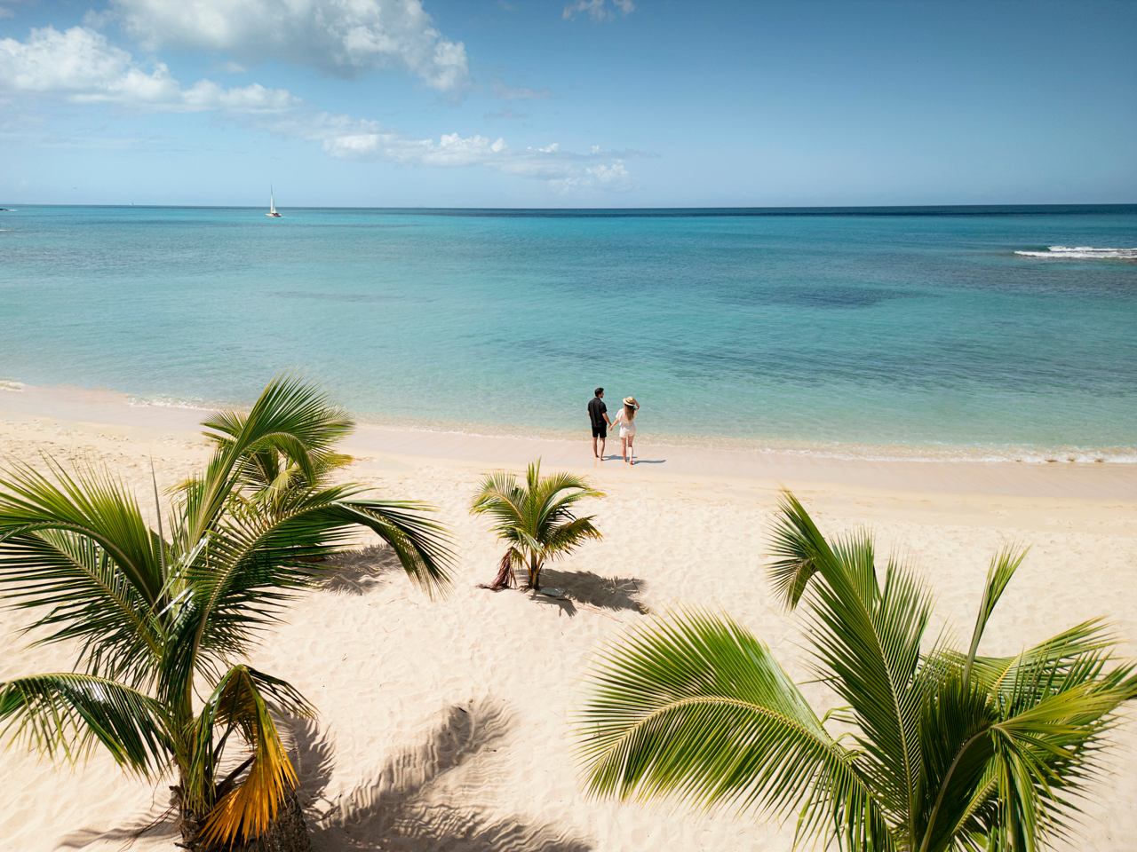 Offers of the Week | MSC Cruises