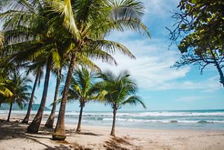 Una playa serena con palmeras y cielos despejados invita a la relajación y la aventura en la hermosa costa de Costa Rica | MSC Cruceros