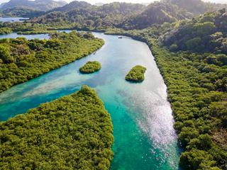 Vista aérea del sereno Venas Azules Colon, que muestra la exuberante vegetación y vías fluviales en Panamá | MSC Cruceros
