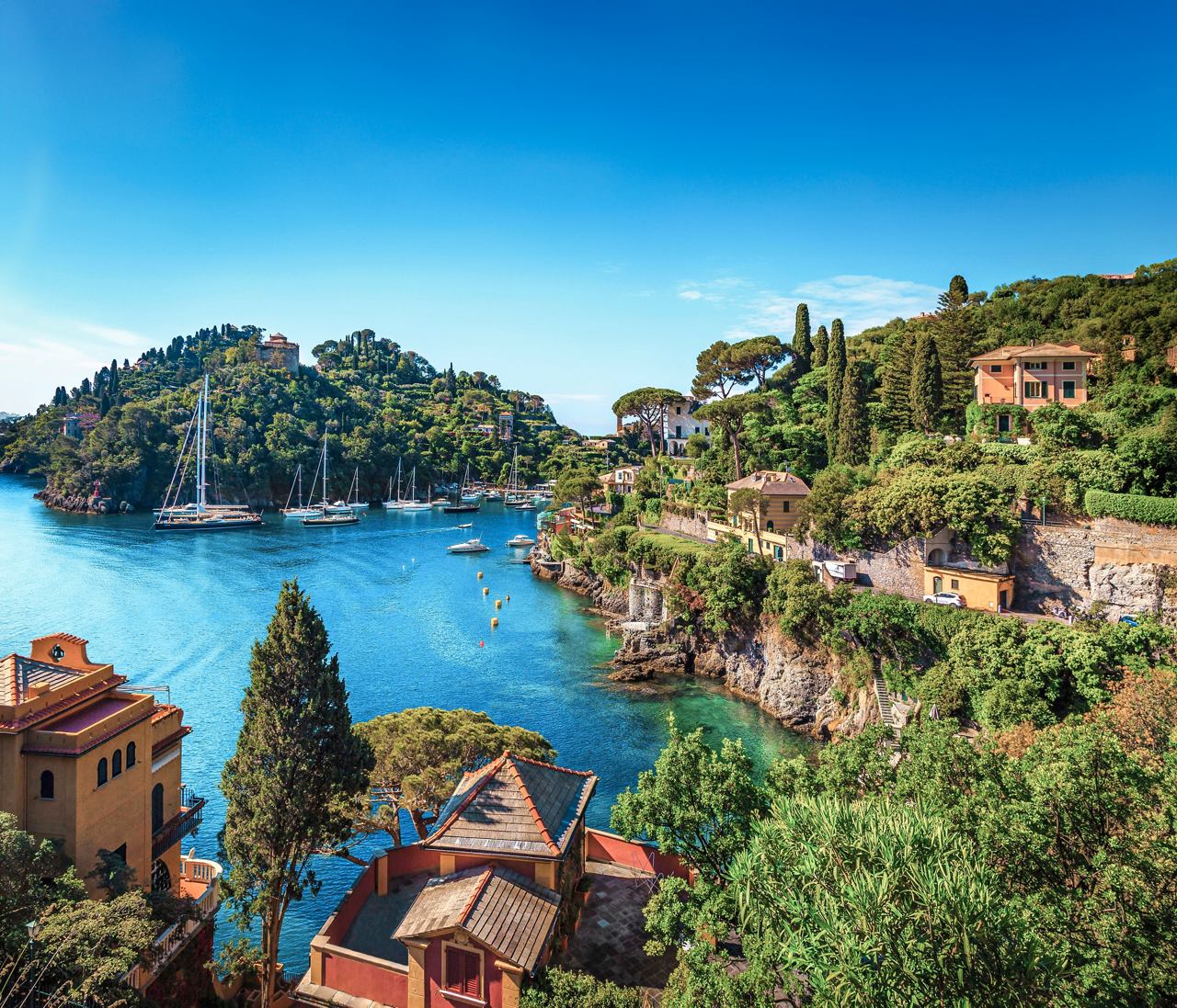 Ein malerischer Blick auf die lebendige Küste von Portofino mit üppigem Grün und ruhigem Wasser | MSC Cruises