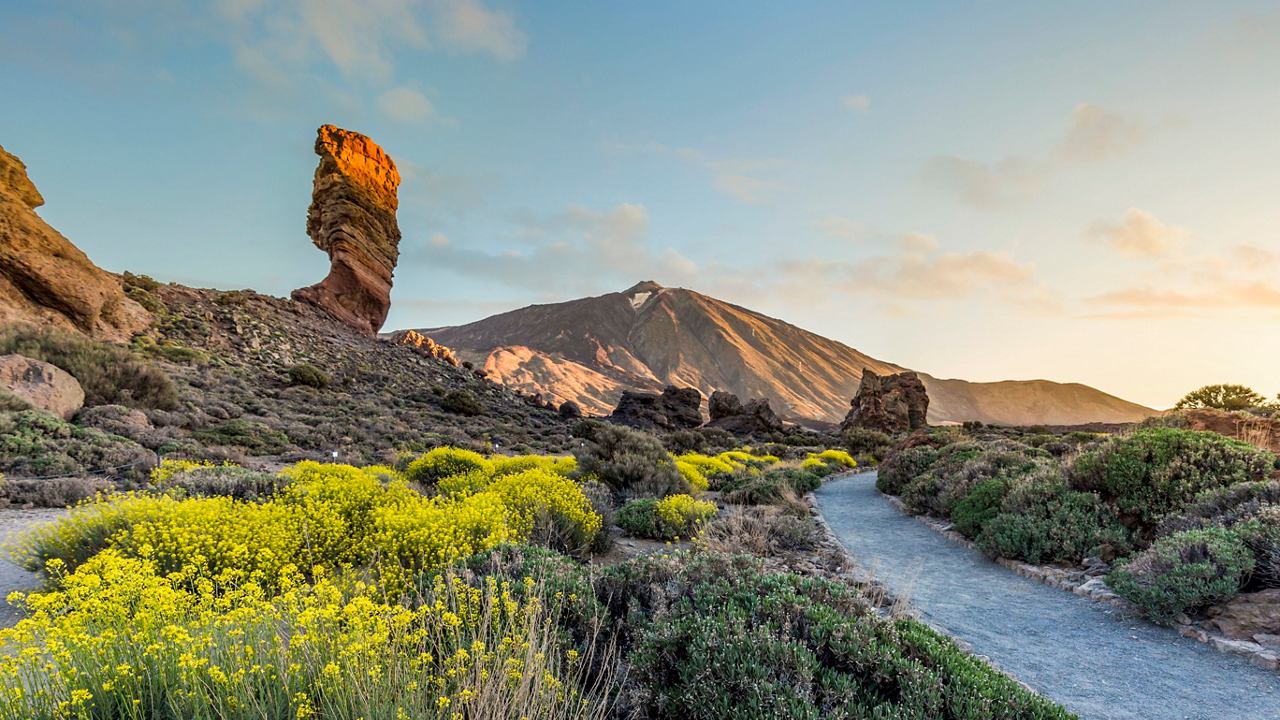 Stunning landscape of Roques de Garcia with vibrant wildflowers at Teide National Park, Tenerife, Spain | MSC Cruises