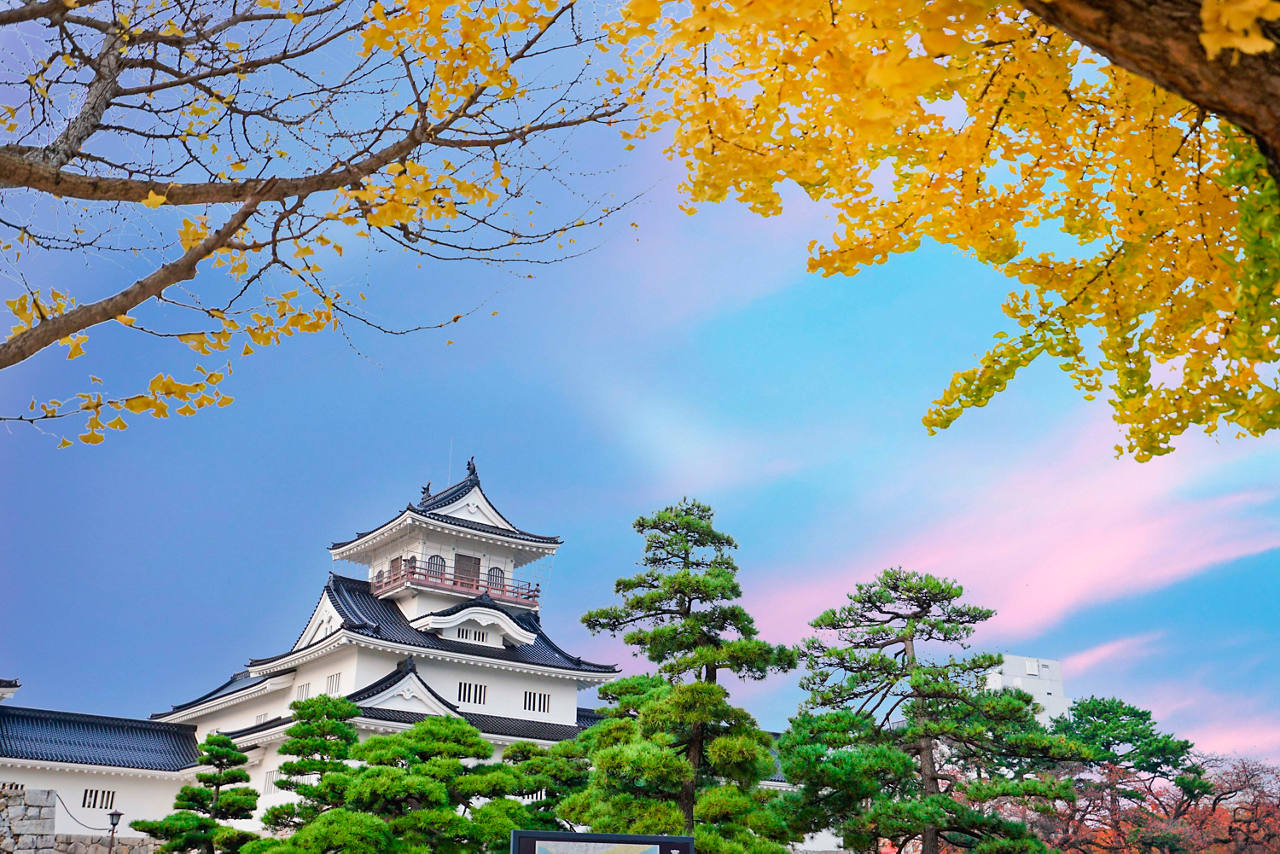 Fushiki-Toyama cruise